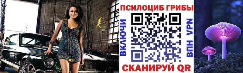 Псилоцибиновые грибы мицелий  даркнет сайт  MEGA ТОР  Фёдоровский 